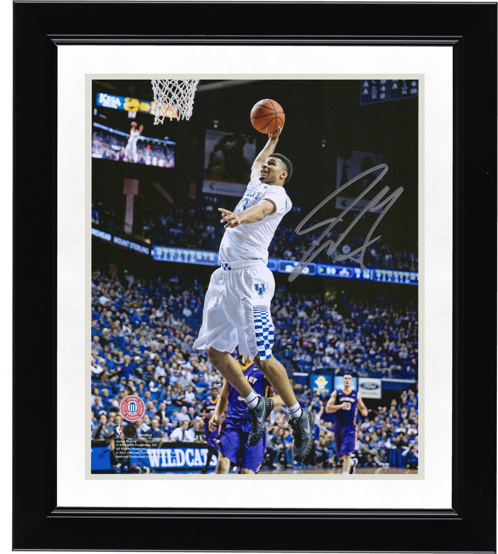 Jamal Murray Signed 8 x 10 Photograph | Kentucky Wildcats