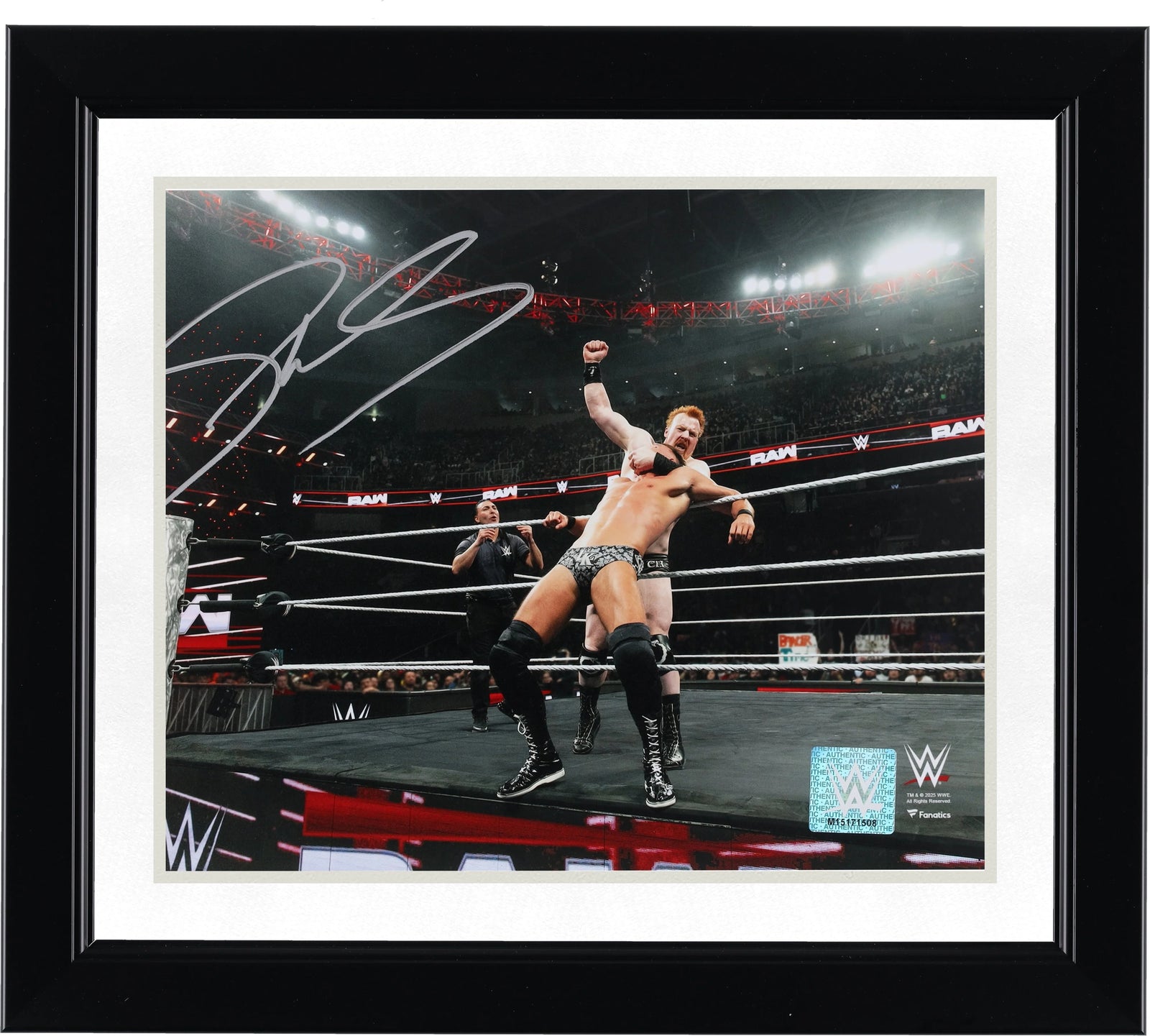 Sheamus Signed 8 x 10 Photograph | 10 Beats Punch