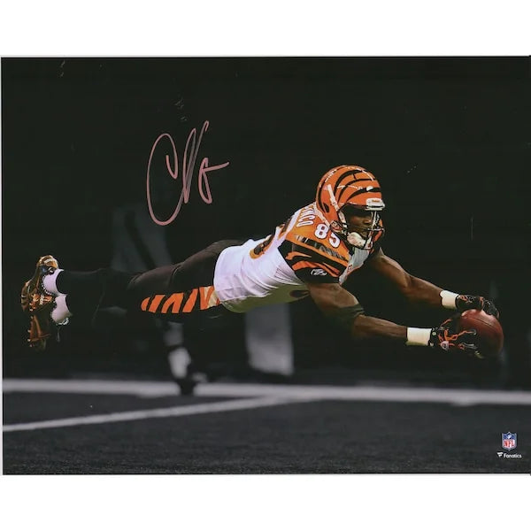 Chad Johnson Signed 11 x 14 Diving Spotlight Photograph | Cincinnati Bengals