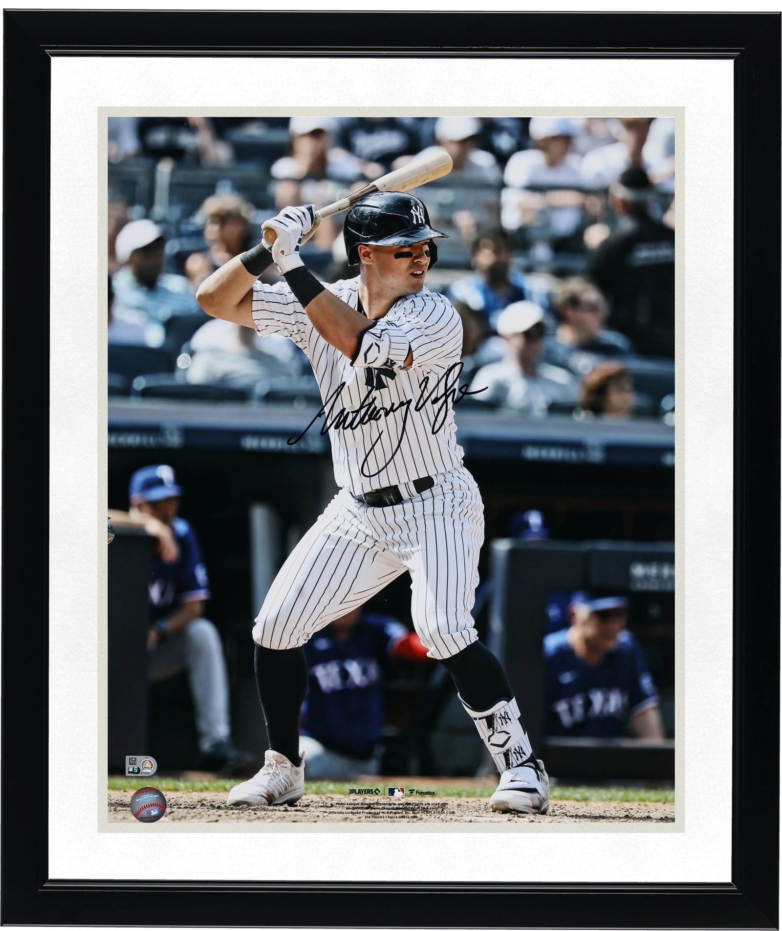 Anthony Volpe Signed 16 x 20 Photo | Yankees Batting Stance