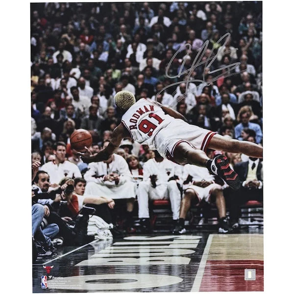 Dennis Rodman Signed Chicago Bulls Diving Photograph | 16 x 20