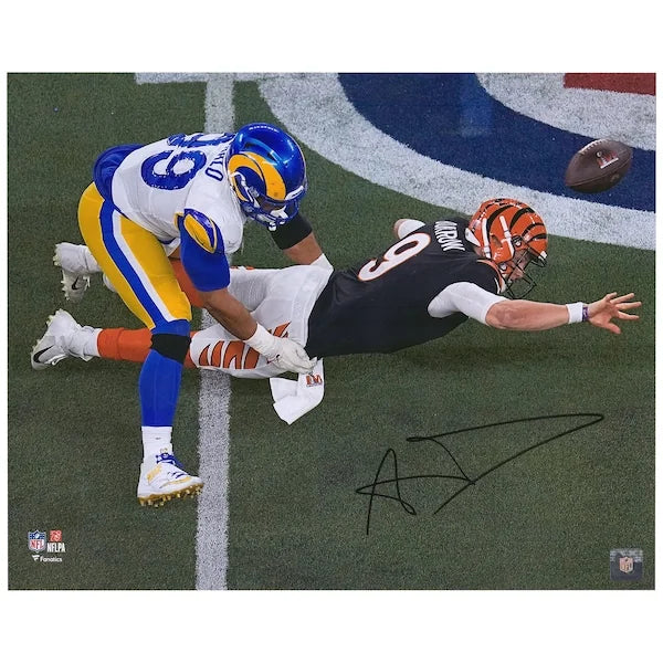 Aaron Donald Signed 16 x 20 Super Bowl LVI Champions Photograph | Rams