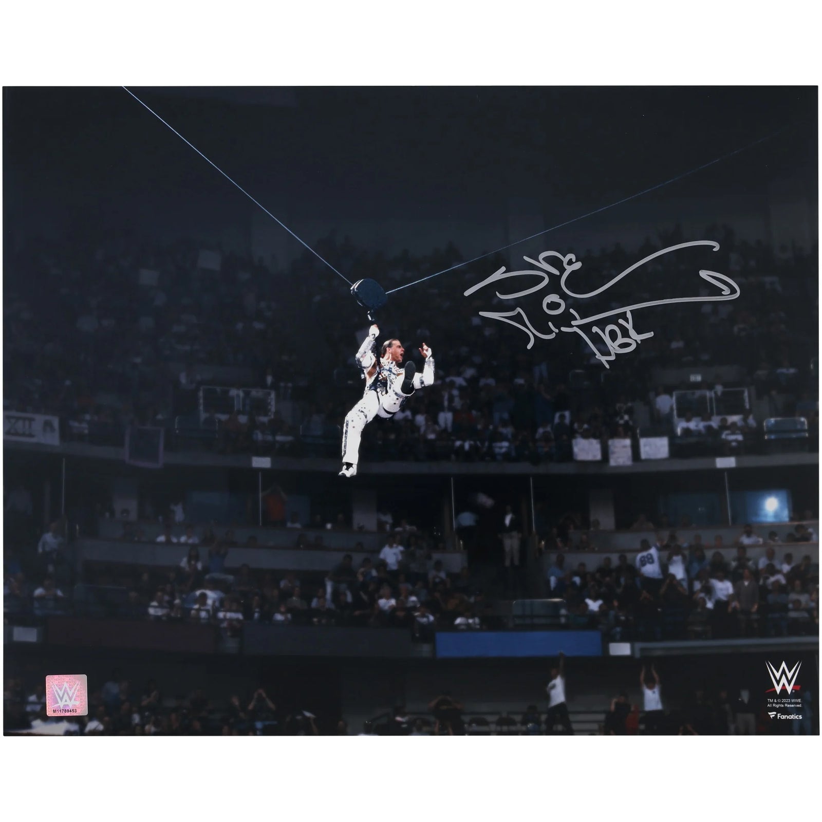 Shawn Michaels Signed 16 x 20 Photo | WrestleMania 12 Entrance Zipline