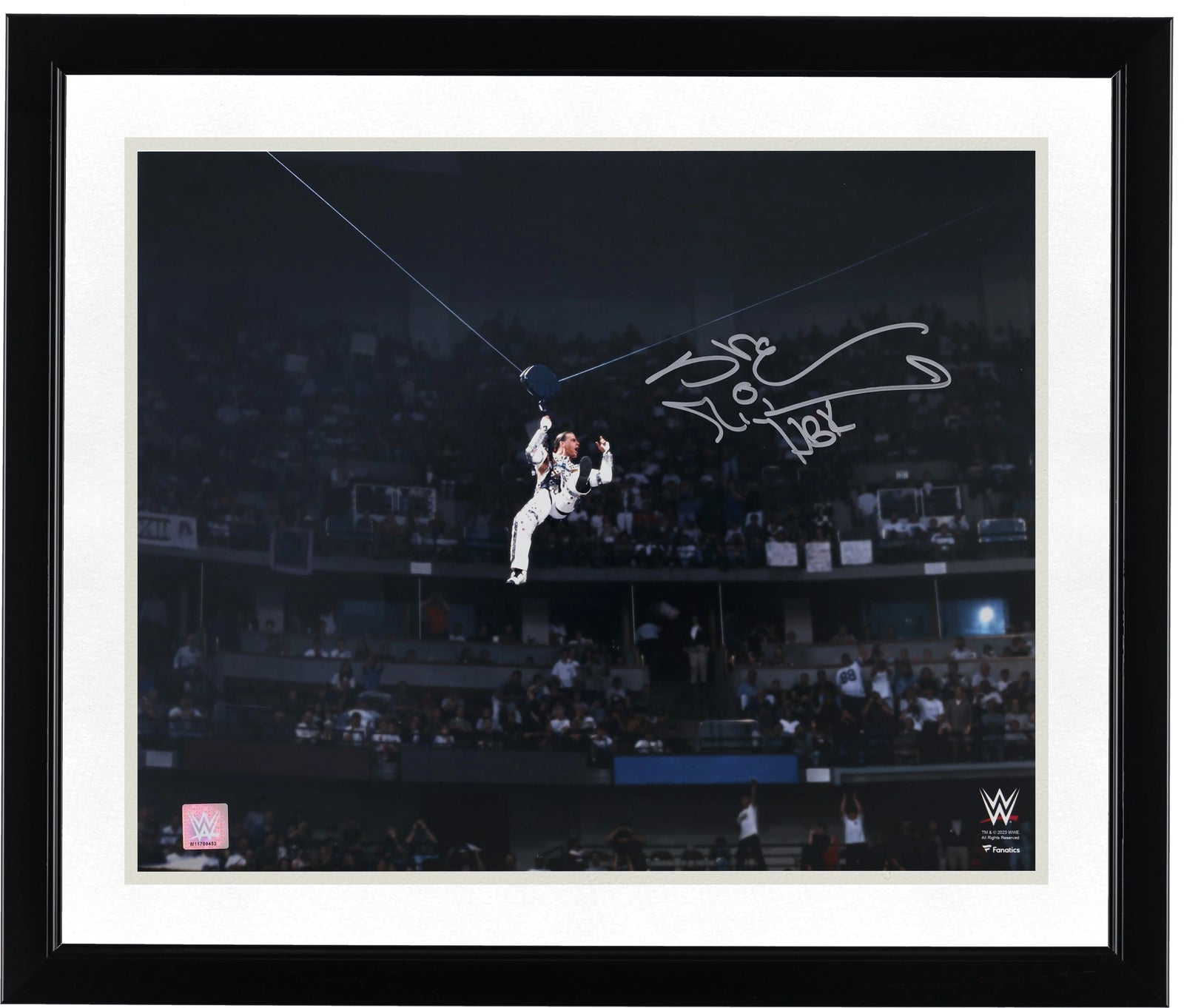 Shawn Michaels Signed 16 x 20 Photo | WrestleMania 12 Entrance Zipline