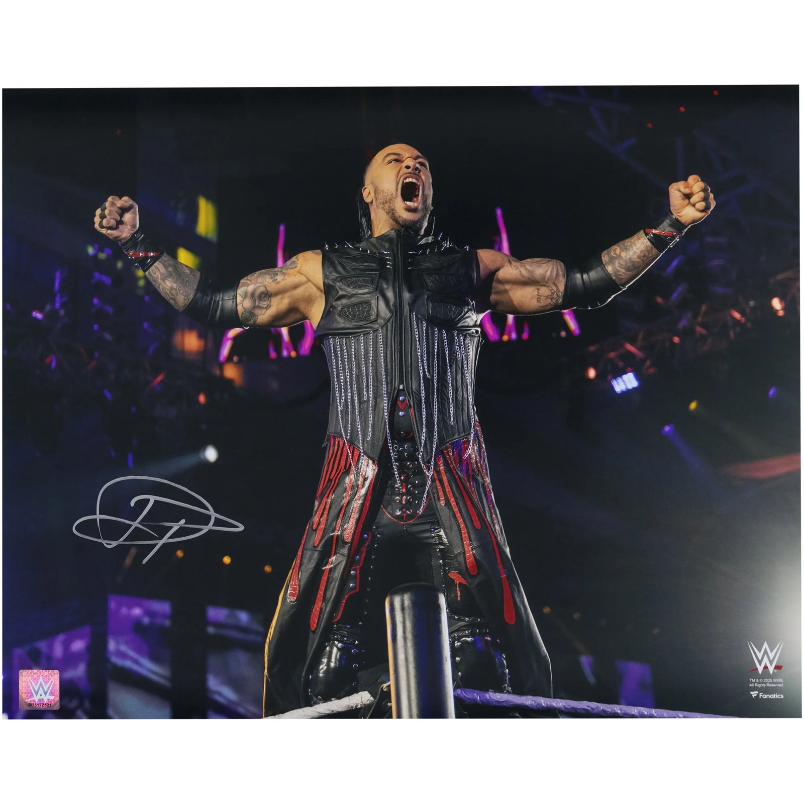 Damian Priest WWE Autographed Fanatics Authentic 16" x 20" Entrance On Top Rope Photograph