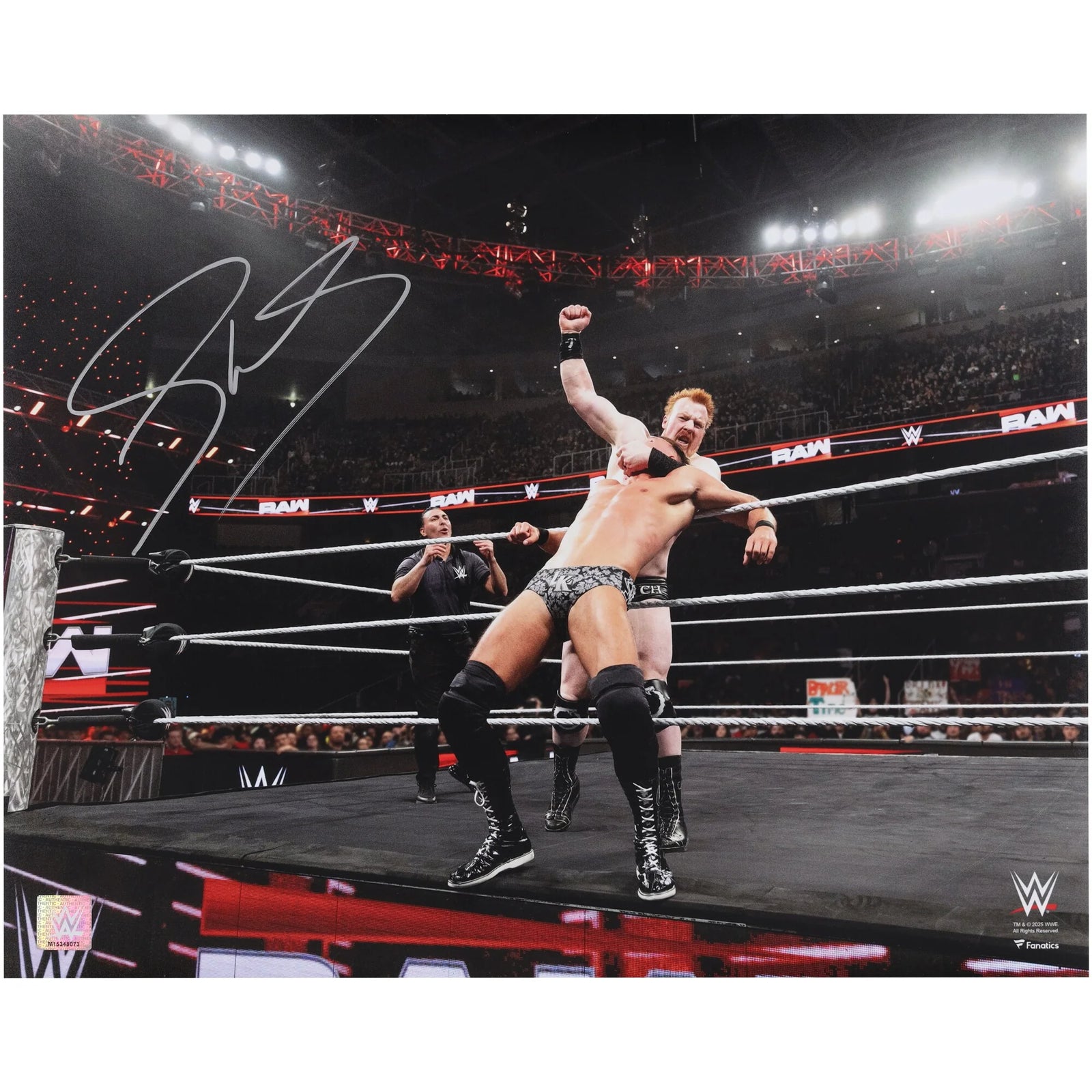 Sheamus Signed WWE 16 x 20 Photograph | 10 Beats Punch