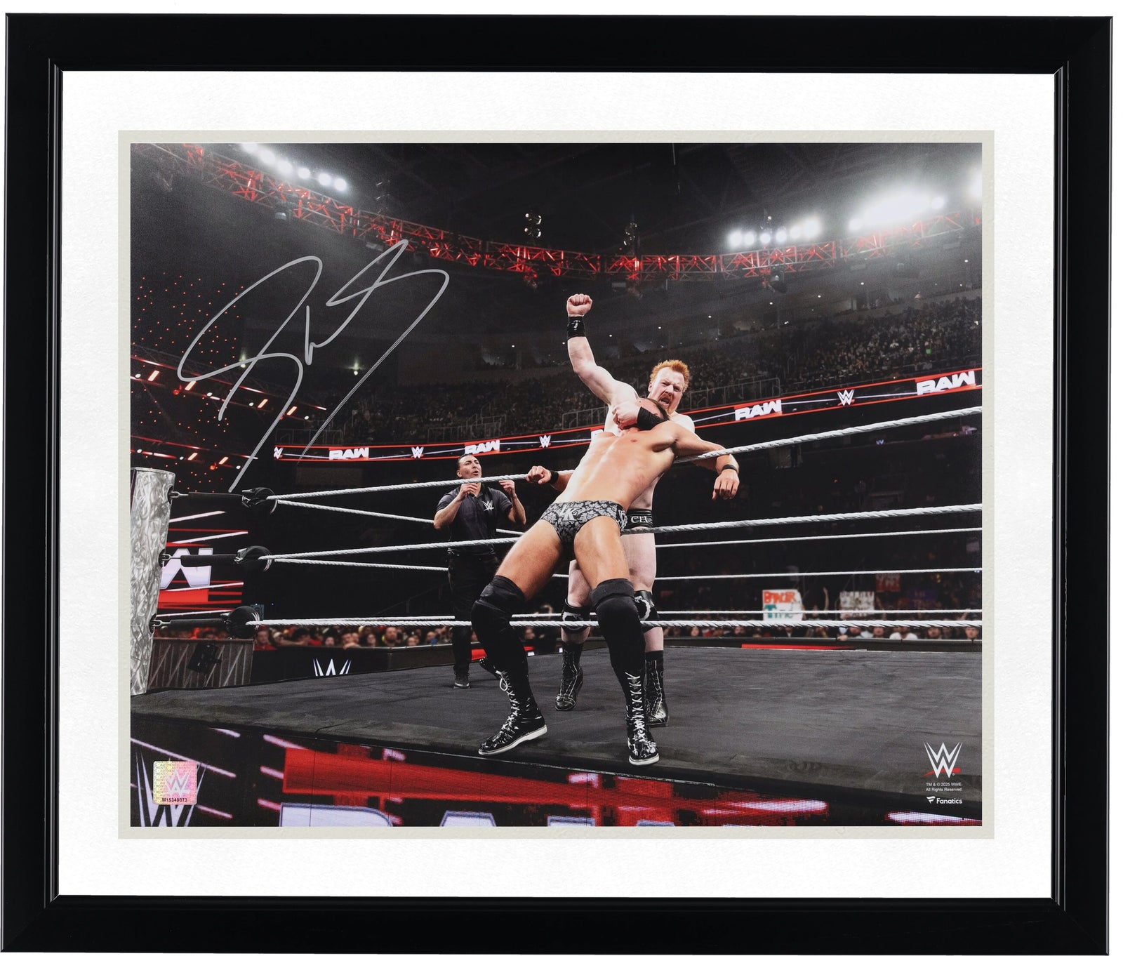 Sheamus Signed WWE 16 x 20 Photograph | 10 Beats Punch