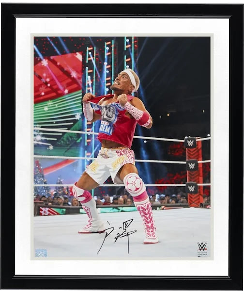 Akira Tozawa Signed WWE 16 x 20 Photograph | Ripping Shirt