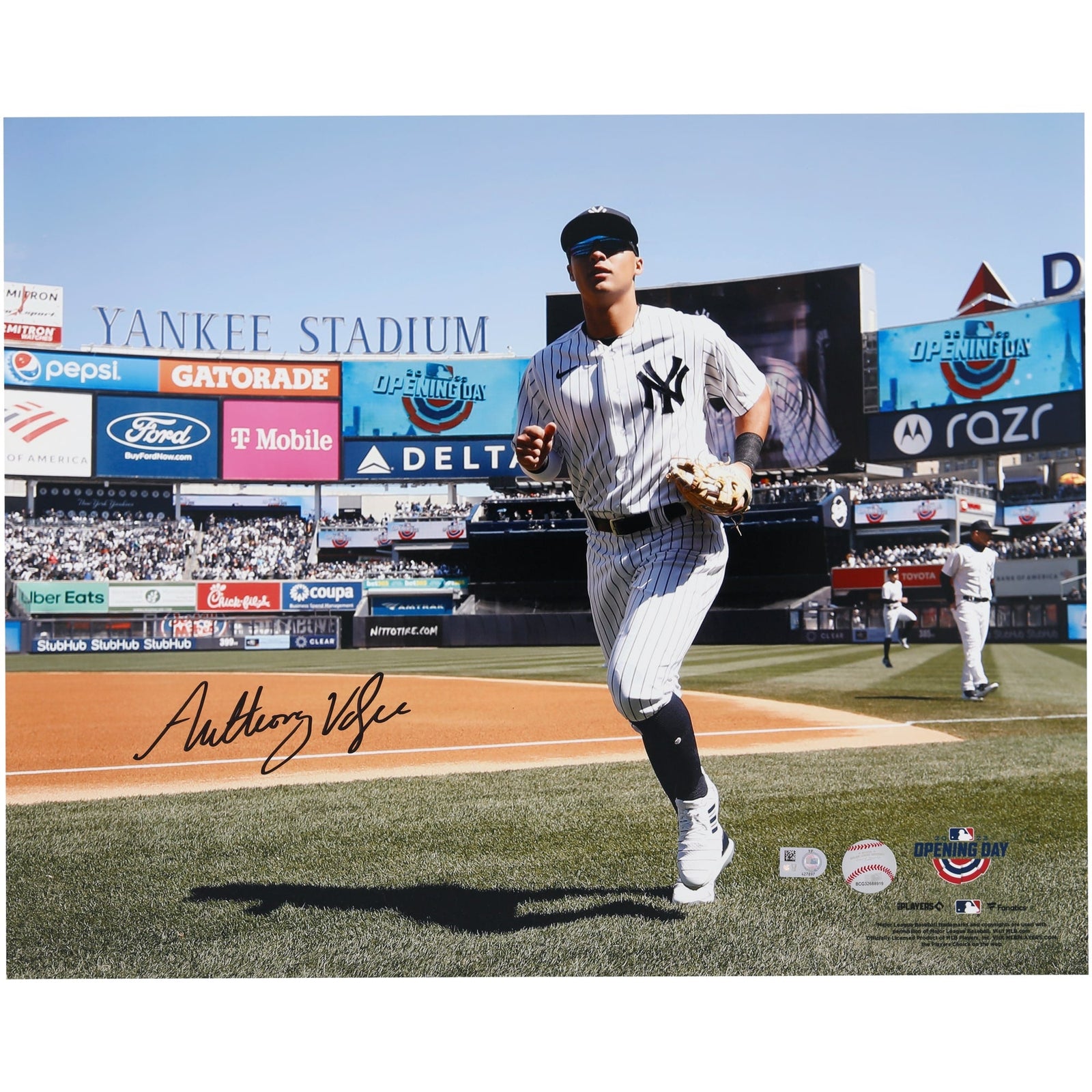 Anthony Volpe New York Yankees Autographed Fanatics Authentic 16" x 20" Opening Day Photograph - The Ballers Bank