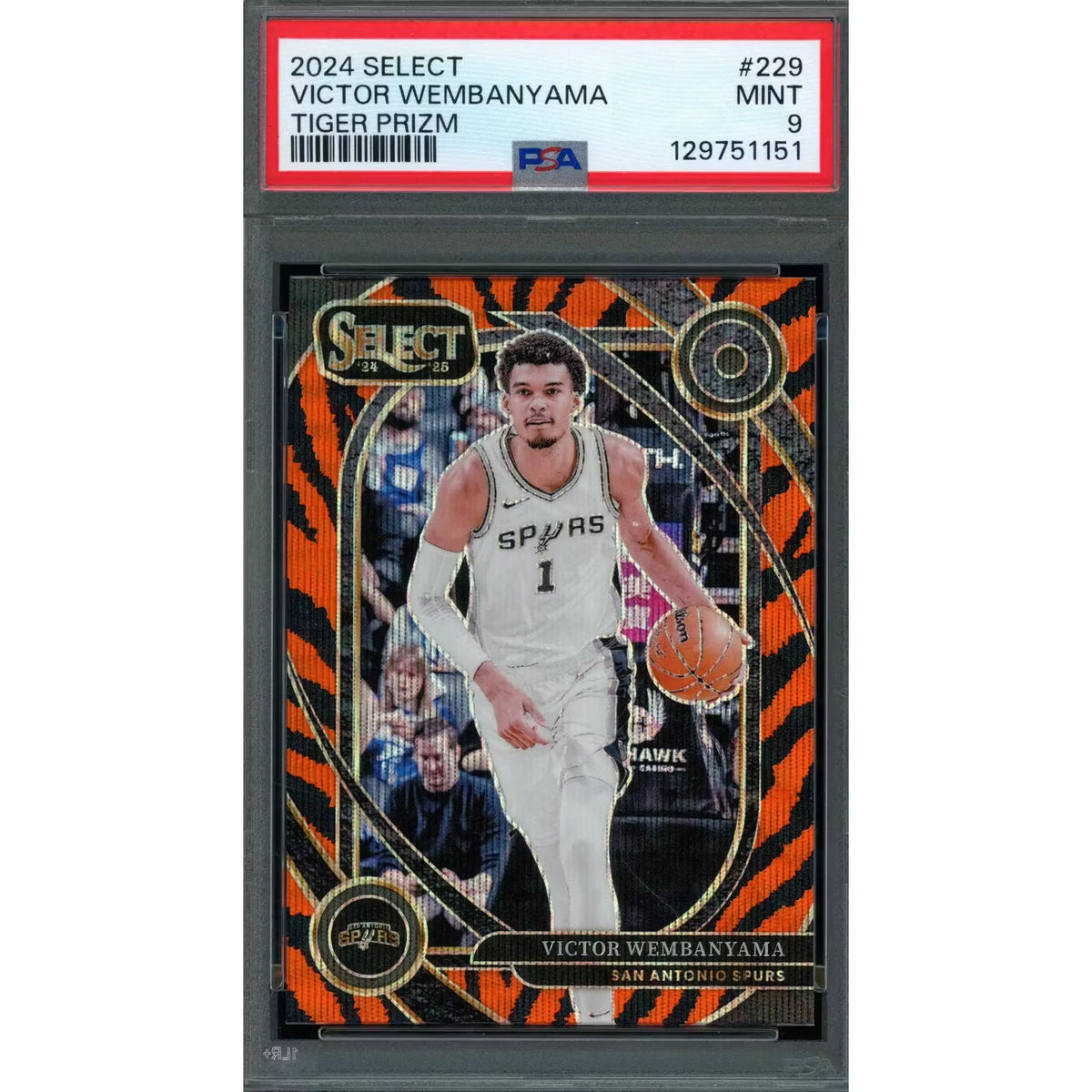 2025-26 Hit Parade Basketball Headliners Wembanyama Collection - Series 2 | P5944137