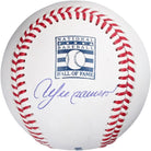 Andre Dawson Chicago Cubs Fanatics Authentic Autographed Hall of Fame Logo Baseball