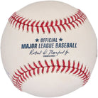 David Ortiz Boston Red Sox Fanatics Authentic Autographed Hall of Fame Logo Baseball