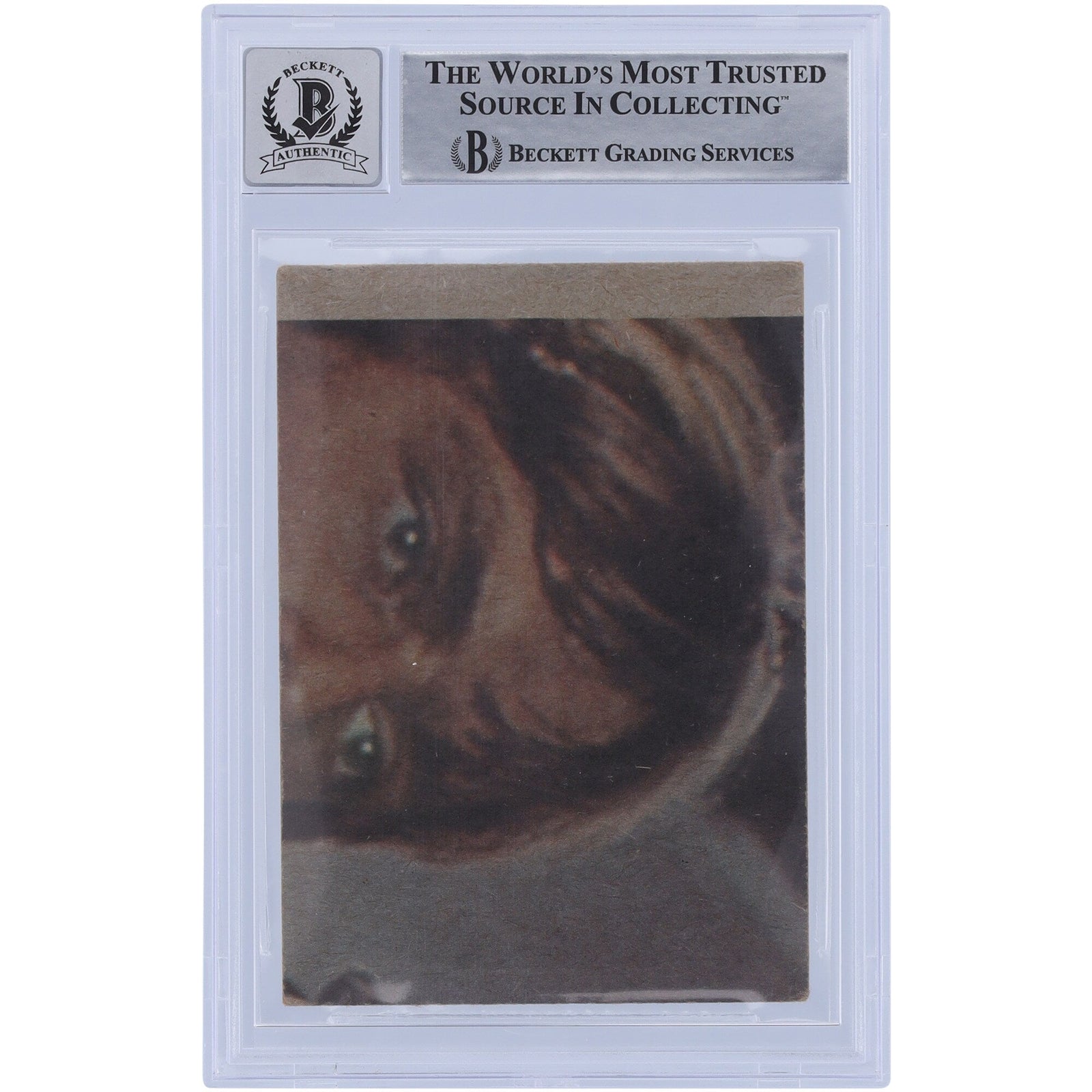 Chris Bunn Star Wars Autographed 1977 Topps Star Wars 168 BGS Authenticated 10 Card - The Ballers Bank