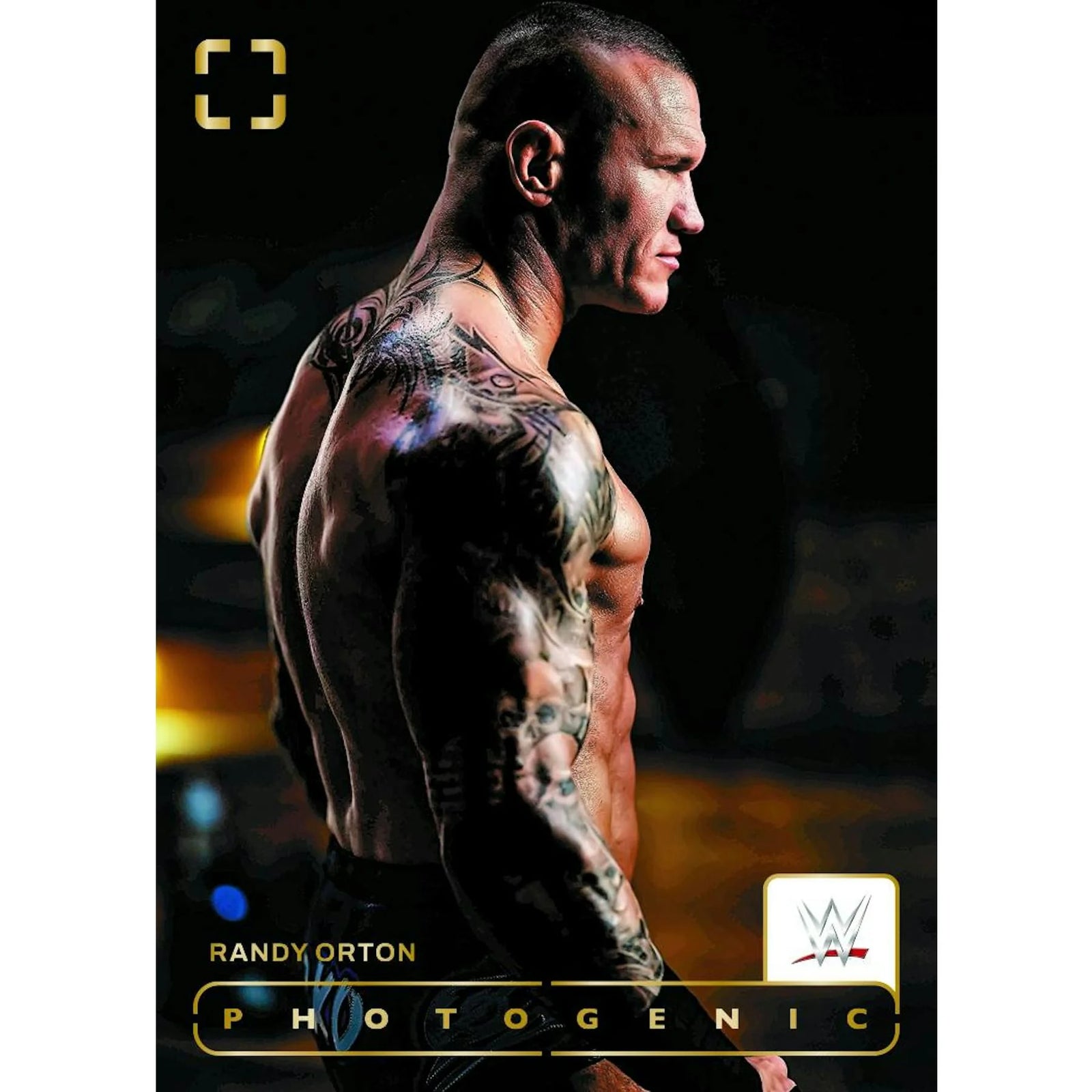 DRAFT - 2024 Panini Photogenic WWE Wrestling Hobby Box | BV050JE550
