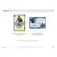 2024-25 Panini Donruss Soccer International Hobby 12-Box Case (Ships Sealed Only)