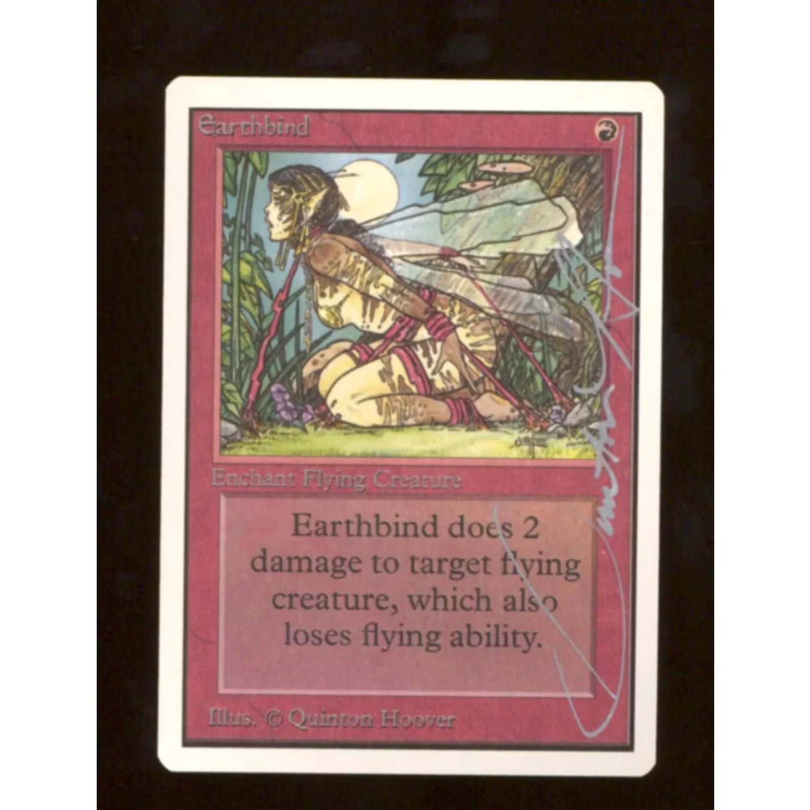 Earthbind Unlimited Signed by Quinton Hoover | Magic the Gathering