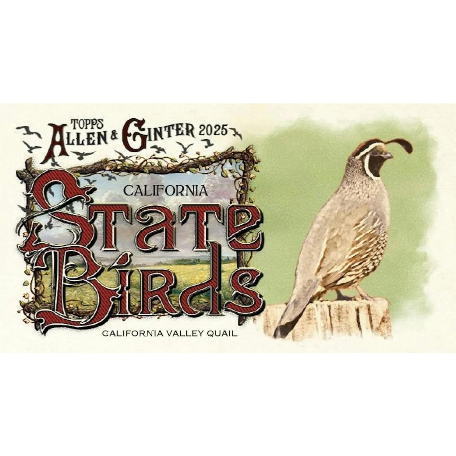 DRAFT - Just In 2025 Topps Allen & Ginter Baseball Jumbo Value Pack Case (108 Ct.)