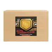 2026 Hit Parade Wrestling Elite Series 1 Hobby 10 Box Case