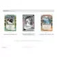 2026 Panini Donruss Baseball Hobby Blaster Box | Presell (Ships Sealed Only)