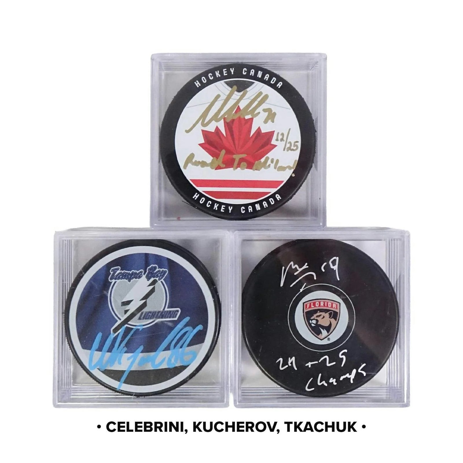 DRAFT - New 2025/26 Hit Parade Autographed Elite Hockey Puck Series 14 Hobby 10-Box Case