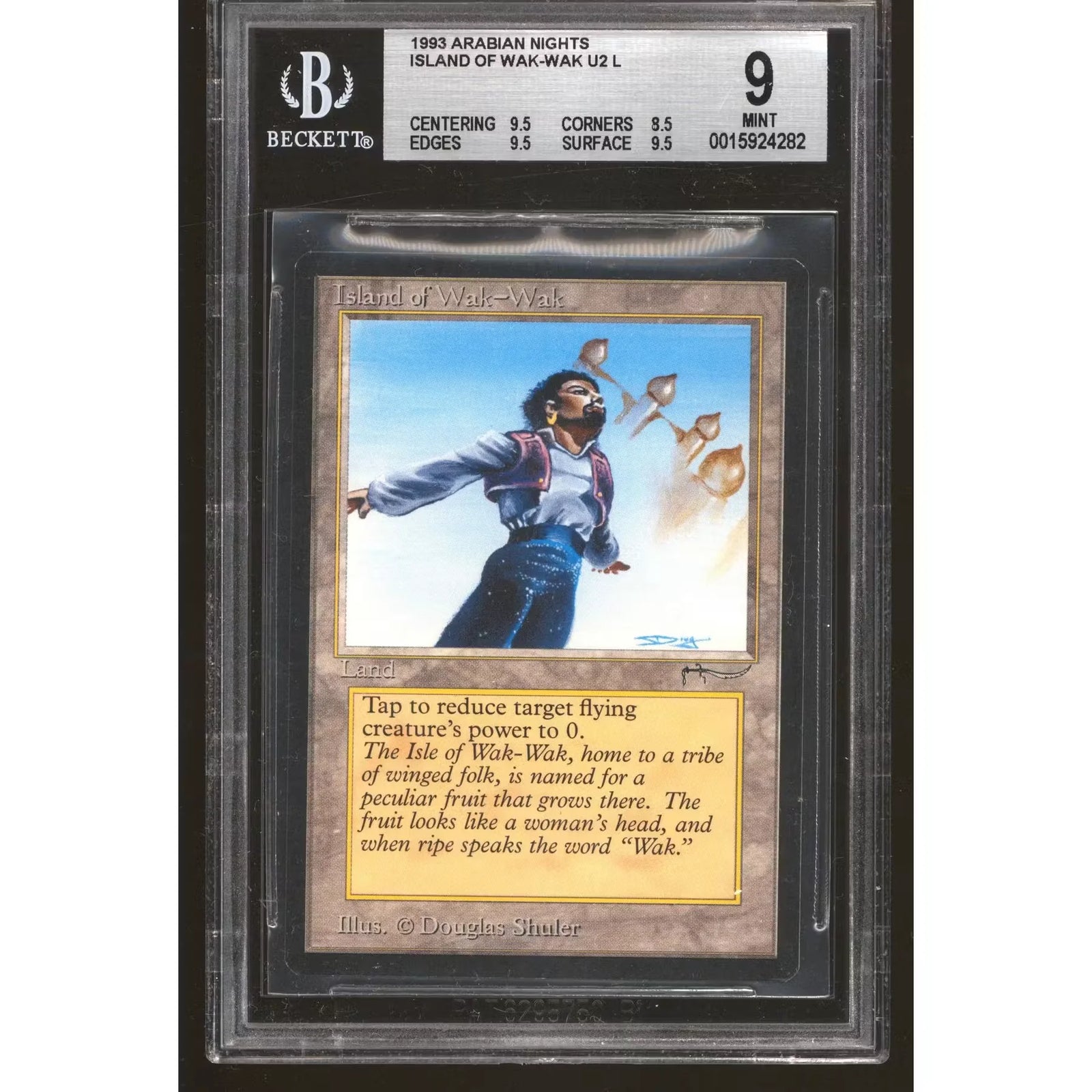 Magic the Gathering Island of Wak-Wak | Arabian Nights BGS 9