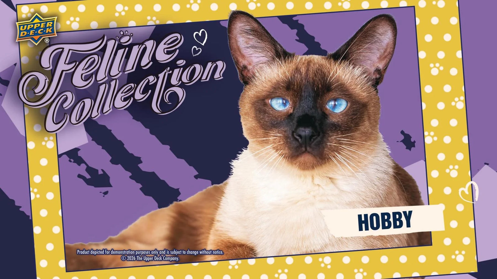 2026 Upper Deck Feline Collection Hobby 10 Box Case Presell