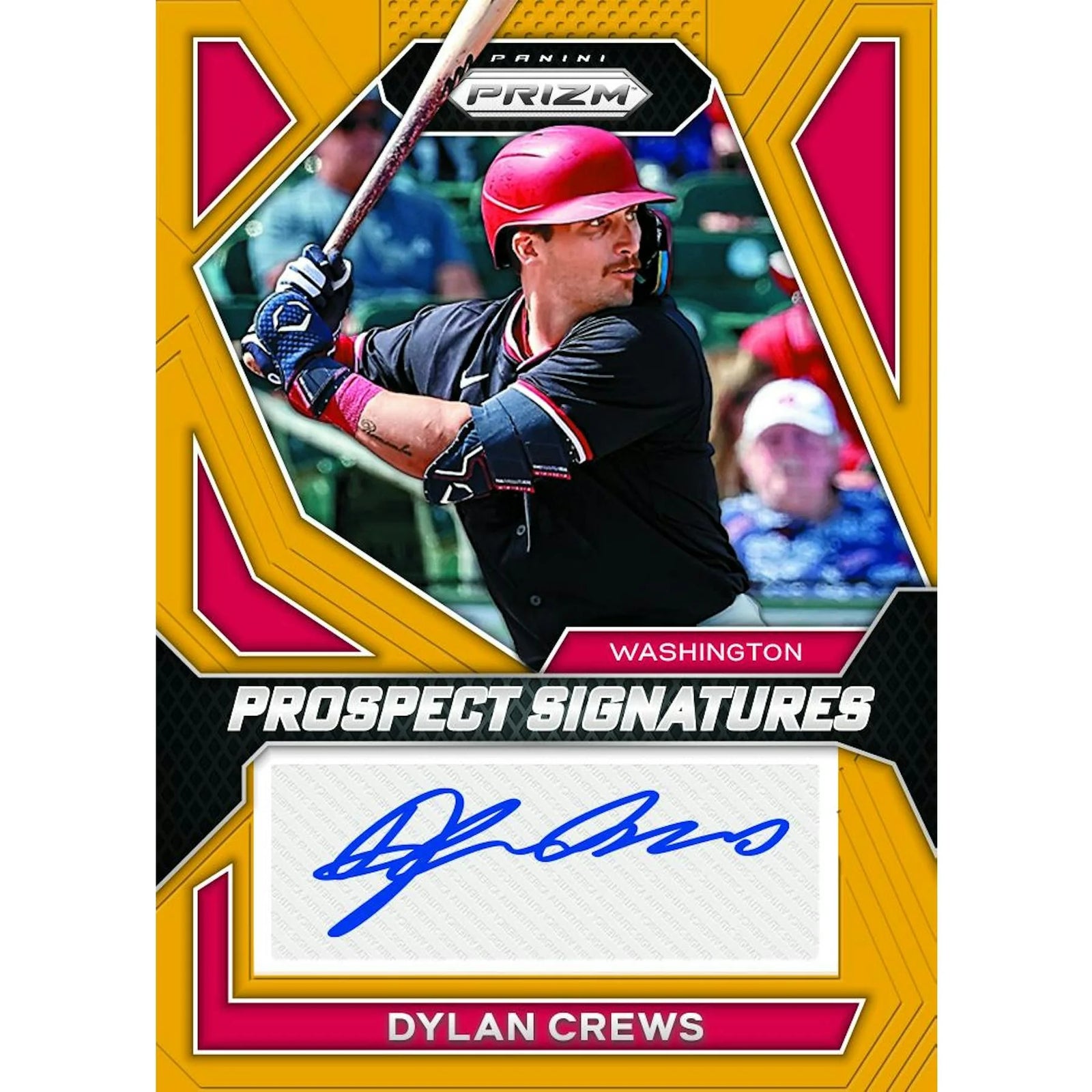 DRAFT - Just In 2024 Panini Prizm Baseball Hobby Box