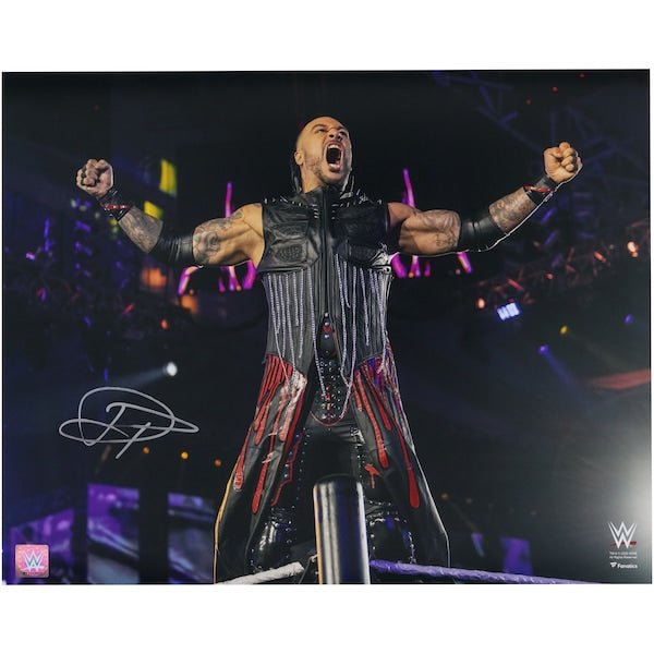 Damian Priest WWE Autographed Fanatics Authentic 16" x 20" Entrance On Top Rope Photograph - The Ballers Bank