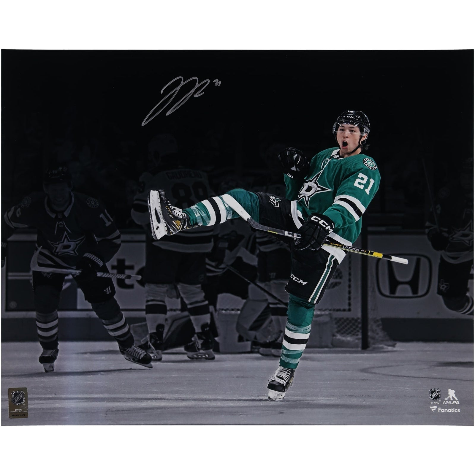 Jason Robertson Dallas Stars Autographed Fanatics Authentic 16" x 20" Green Jersey Celebration Photograph - The Ballers Bank