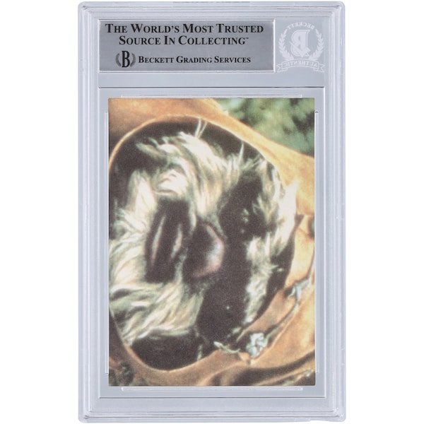 Kenny Baker Star Wars Autographed 1983 Topps Return of the Jedi Sticker 18A BGS Authenticated Card - The Ballers Bank