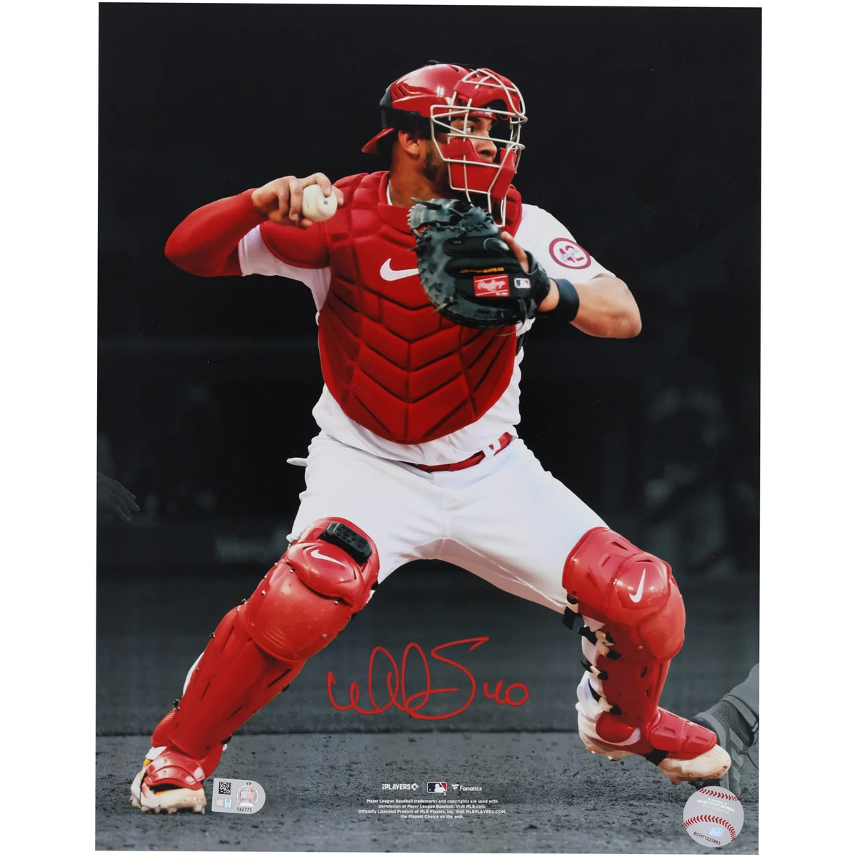 Willson Contreras Signed 11 x 14 Cardinals Photograph | Authenticated