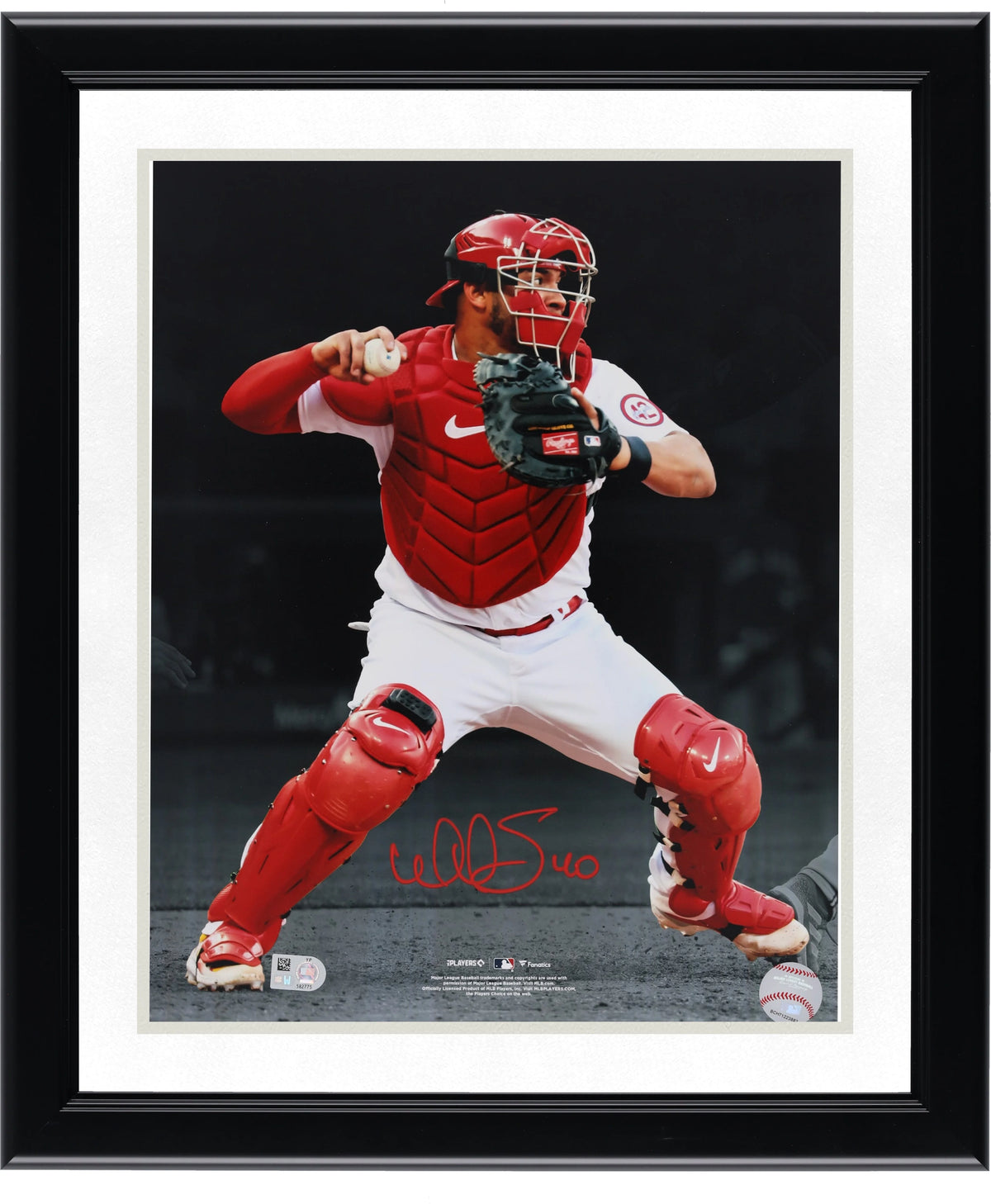 Willson Contreras Signed 11 x 14 Cardinals Photograph | Authenticated