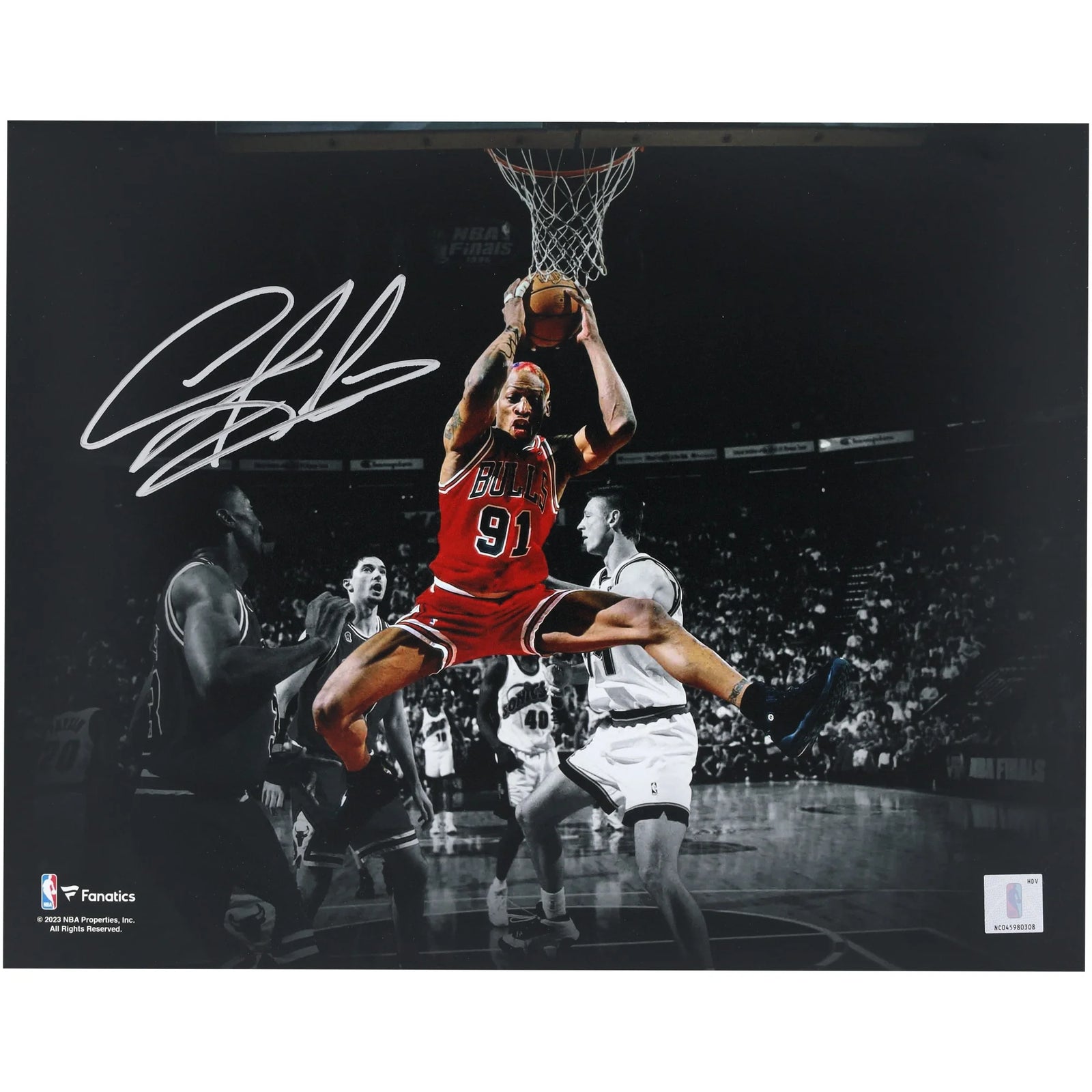Dennis Rodman Signed Chicago Bulls 11 x 14 Photograph | Silver Ink