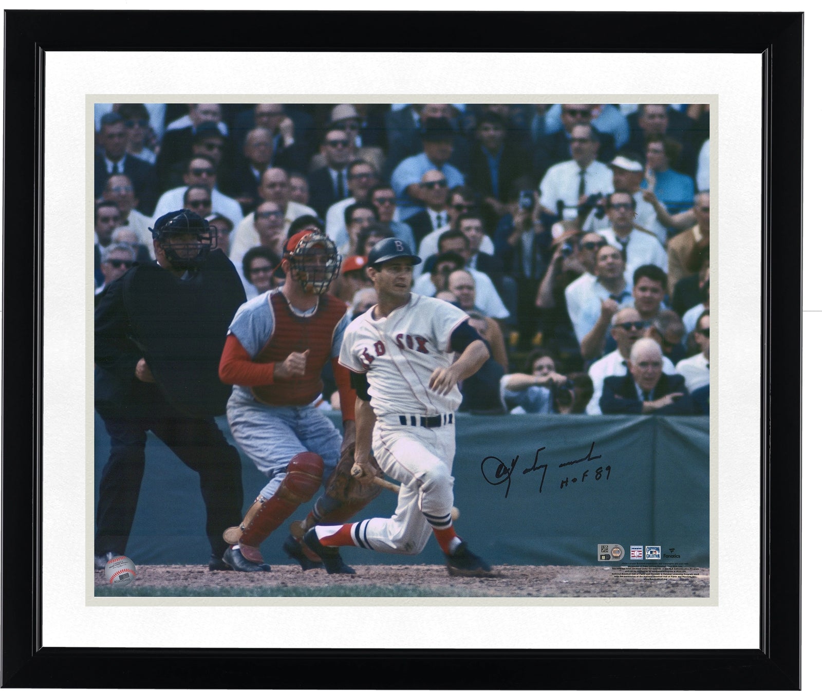 Carl Yastrzemski Signed 16 x 20 Photo | 1967 World Series HOF 89
