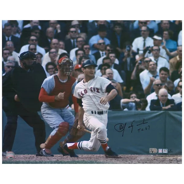 Carl Yastrzemski Signed 16 x 20 Photo | 1967 World Series TC 67 Inscription
