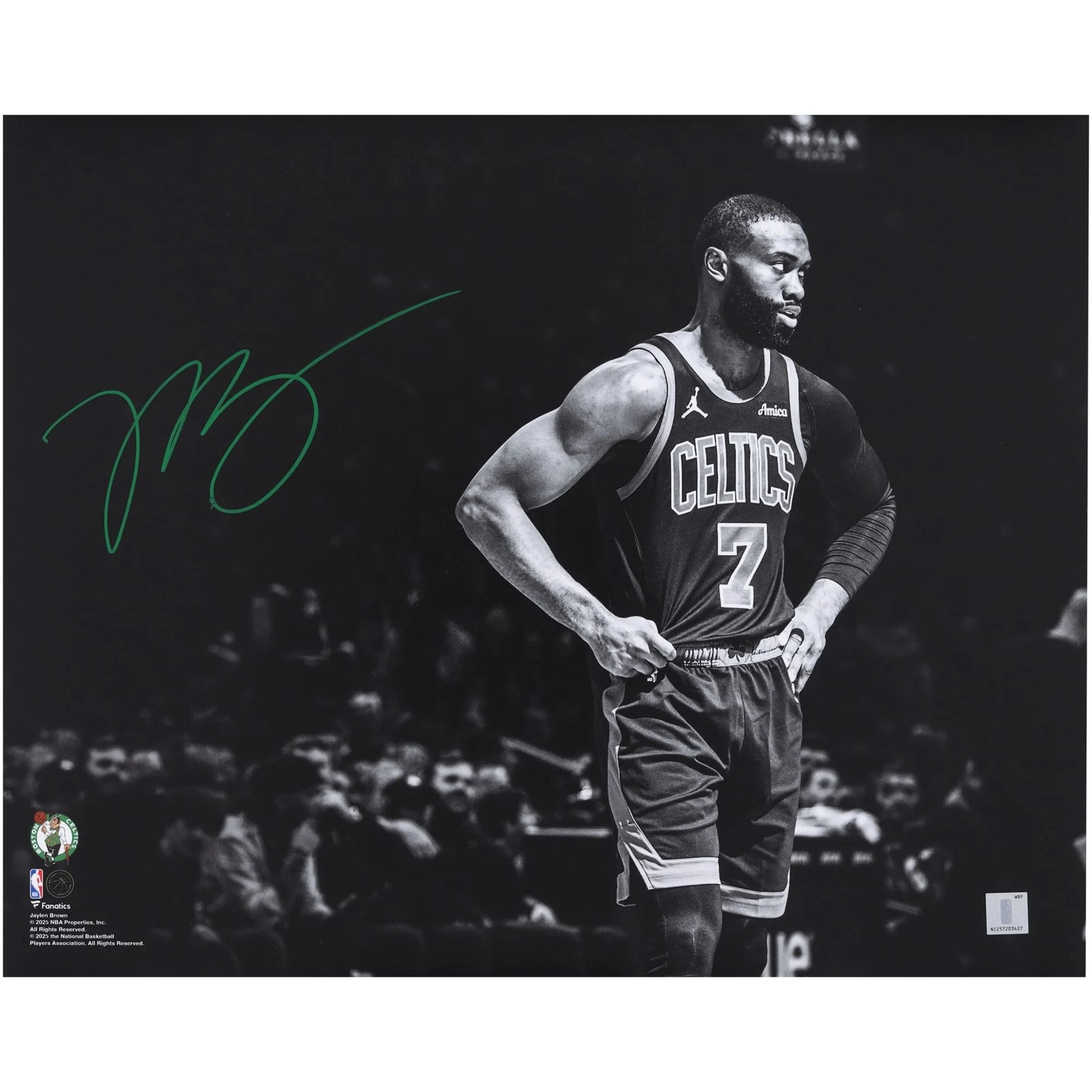 Jaylen Brown Signed 16 x 20 Photograph | Boston Celtics