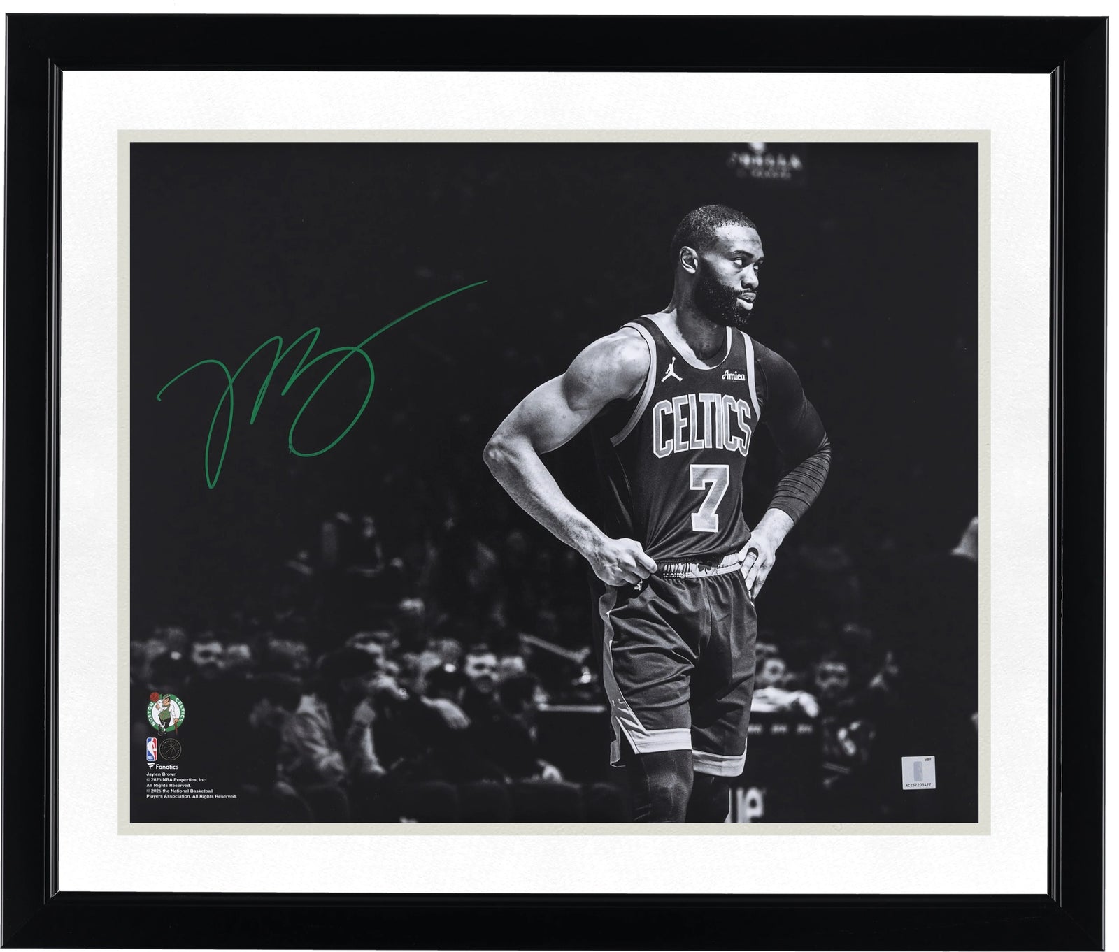 Jaylen Brown Signed 16 x 20 Photograph | Boston Celtics