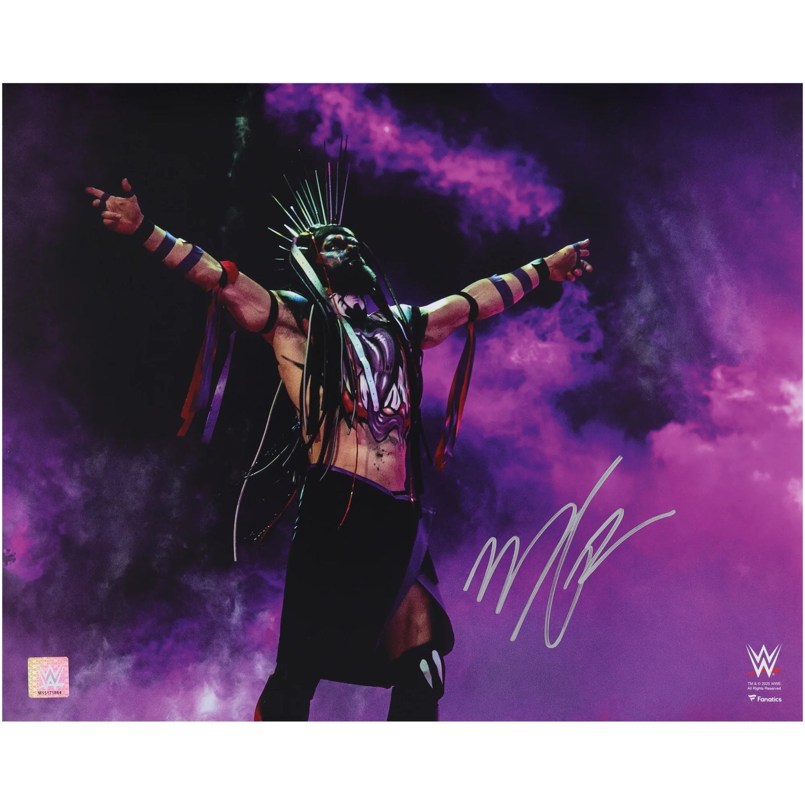 Finn Balor Signed 16 x 20 Demon Entrance Photo | Authenticated