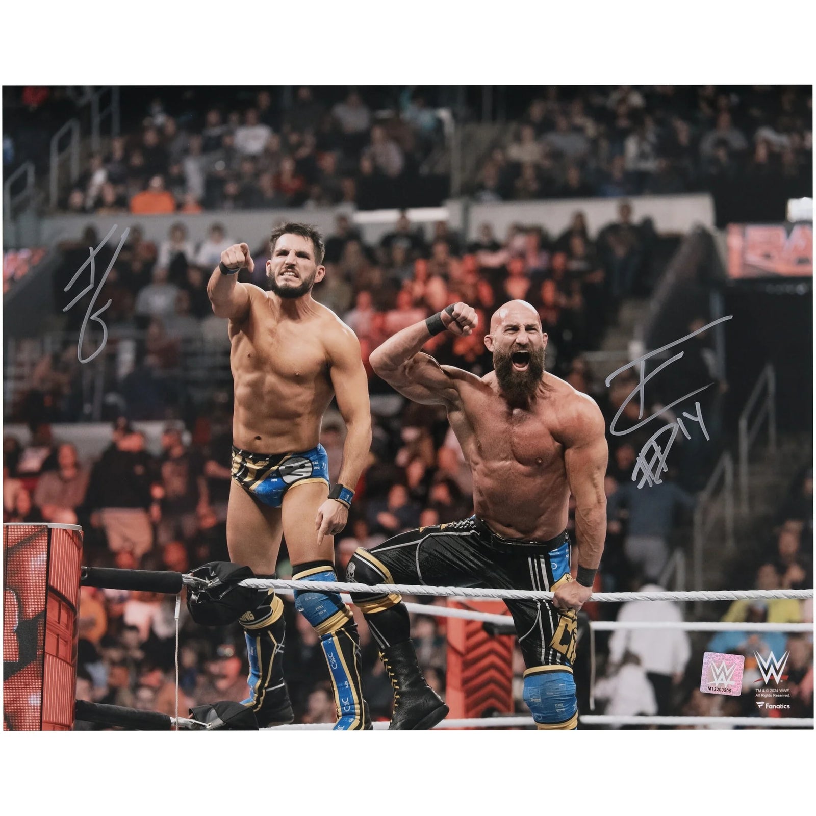 Tommaso Ciampa & Johnny Gargano Signed 16 x 20 Photo | DIY Entrance