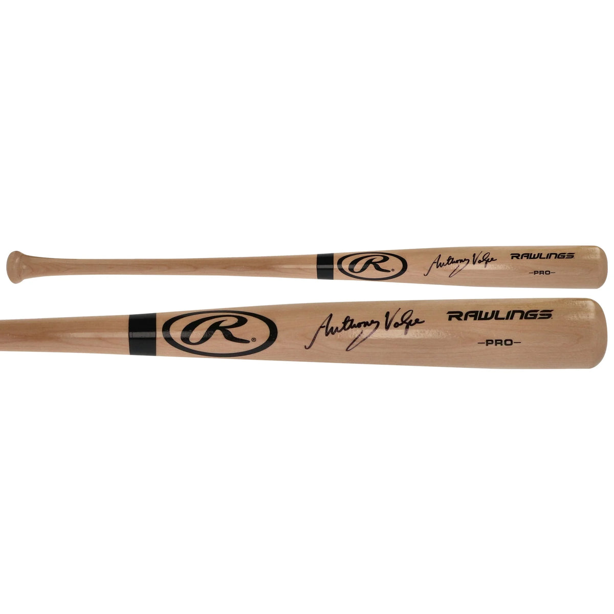 Anthony Volpe Signed Blonde Rawlings Pro Bat | Yankees | WBATSVO0010