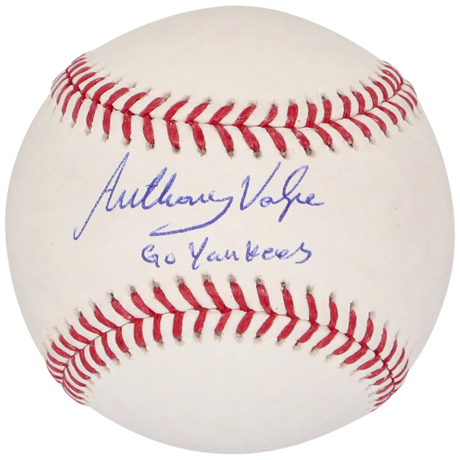 Anthony Volpe Signed Yankees Baseball | Go Yankees Inscription