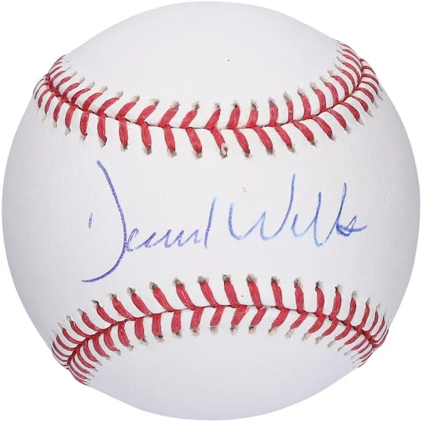 David Wells Signed MLB Baseball | New York Yankees