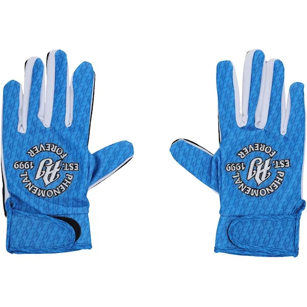 AJ Styles Signed Black and Blue WWE Replica Glove Set | Authenticated