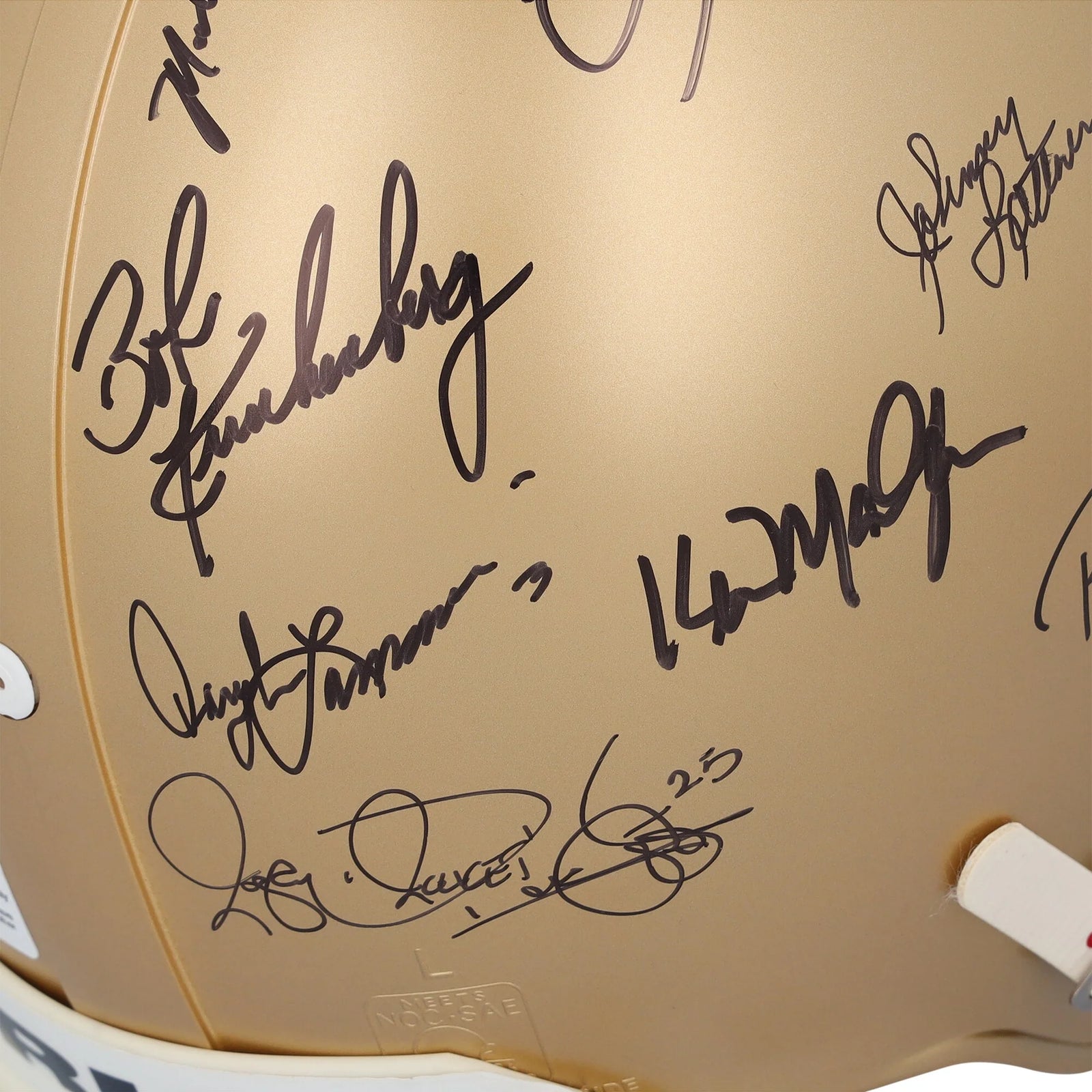 Notre Dame Fighting Irish Signed Riddell Helmet | 32 Signatures