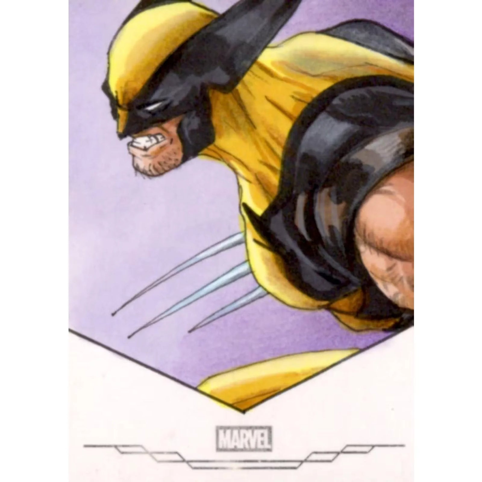 2026 Hit Parade Legends of the Multiverse Sketch Card Edition Series 5 Hobby Box (Ships Sealed Only)