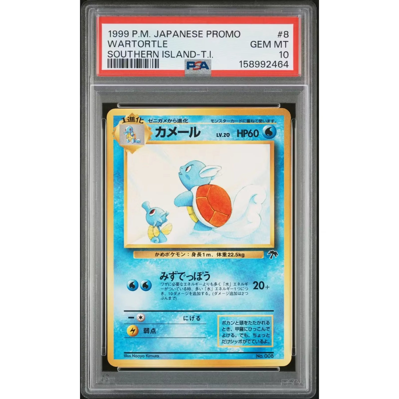 1999 Pokemon Japanese Southern Island Wartortle #8 | PSA 10 Gem Mint