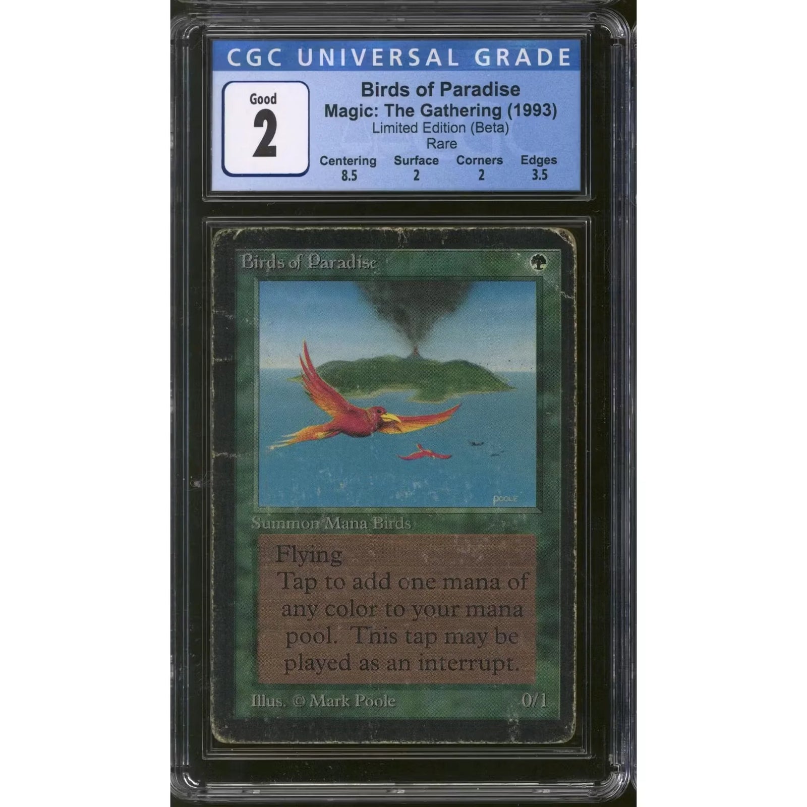Magic the Gathering Beta Birds of Paradise | CGC 2, 1994 World Championship Pedigree