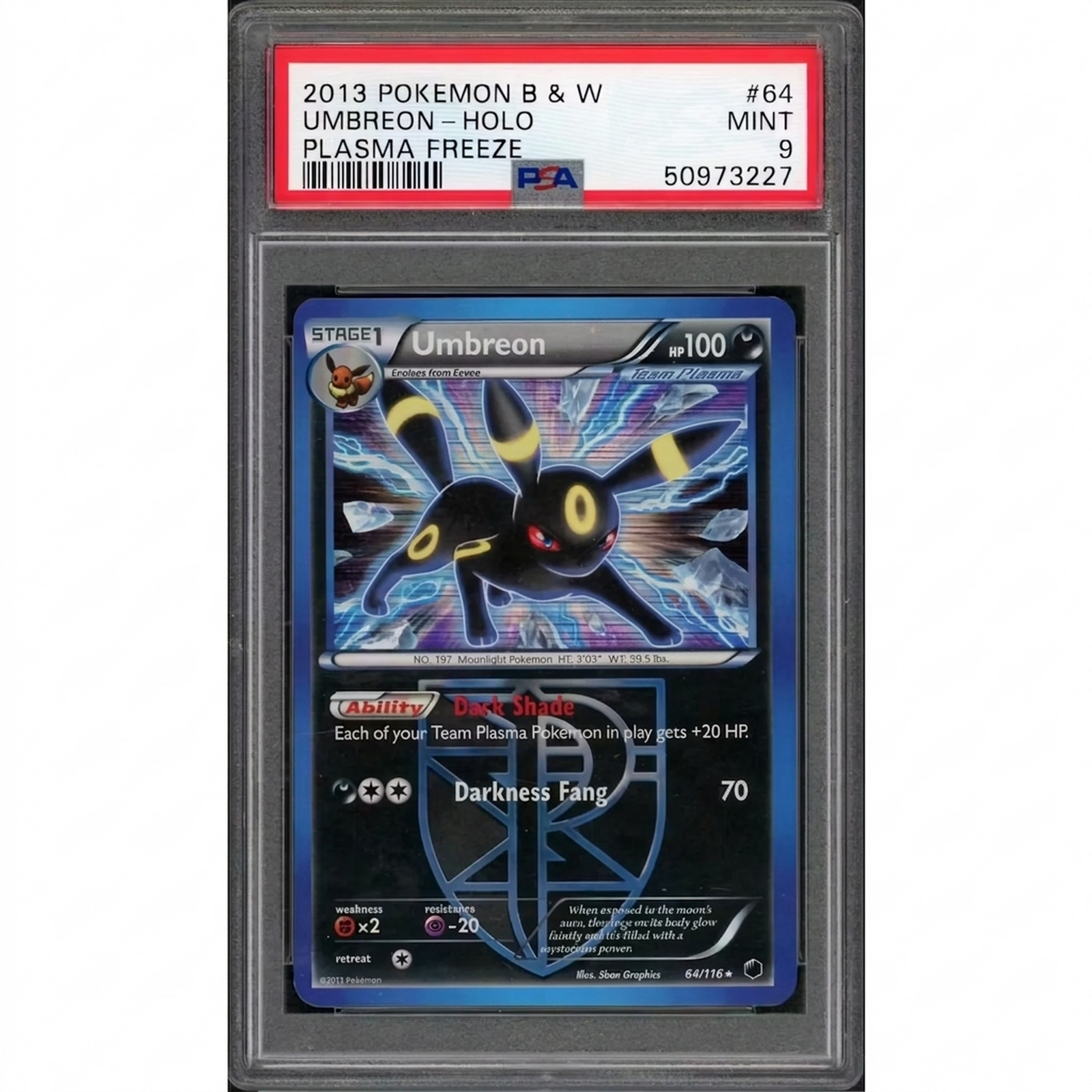 2013 Pokemon Plasma Freeze Umbreon Holo #64 | PSA 9