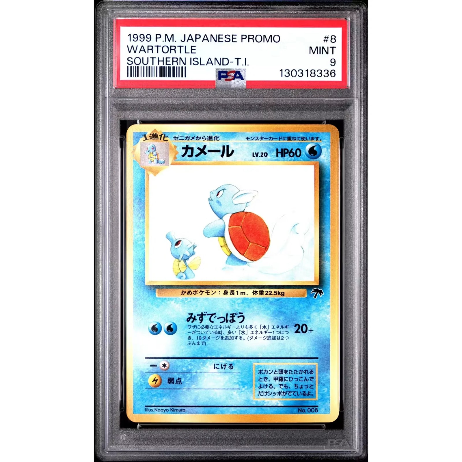 Pokemon Japanese Southern Islands Promo Wartortle | PSA 9 Graded