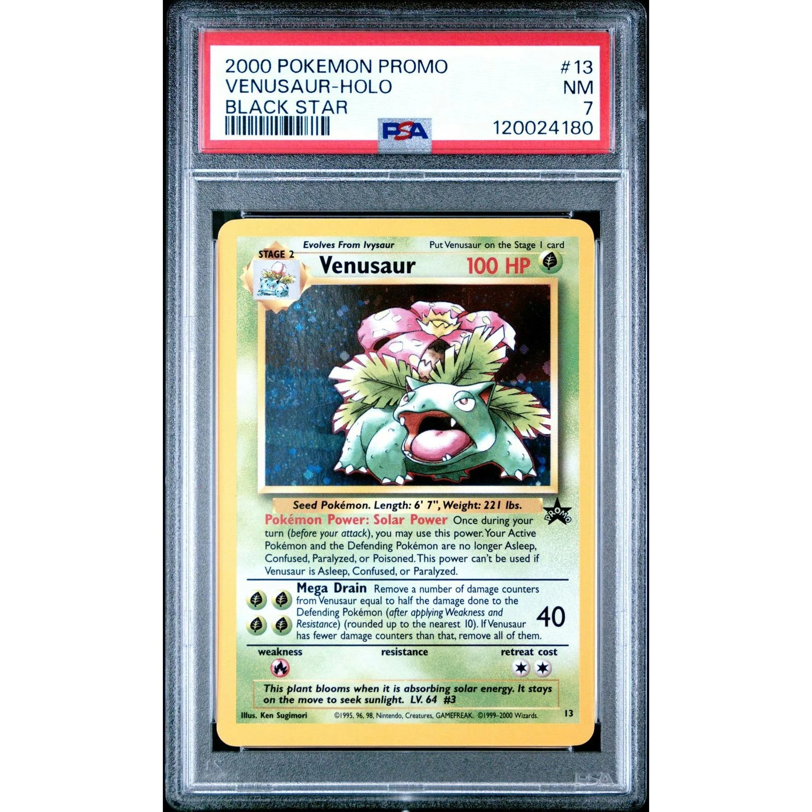 Pokemon Venusaur WOTC Black Star Promo Holo | PSA 7